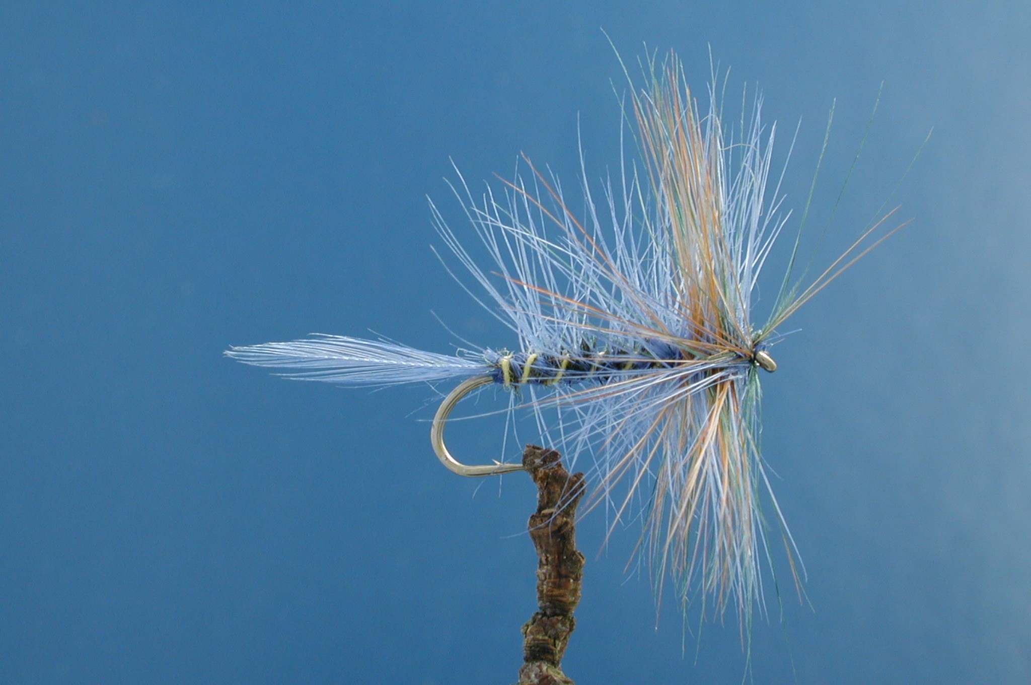 Blue Damsel Fly Fishing Flies with Fish4Flies Worldwide
